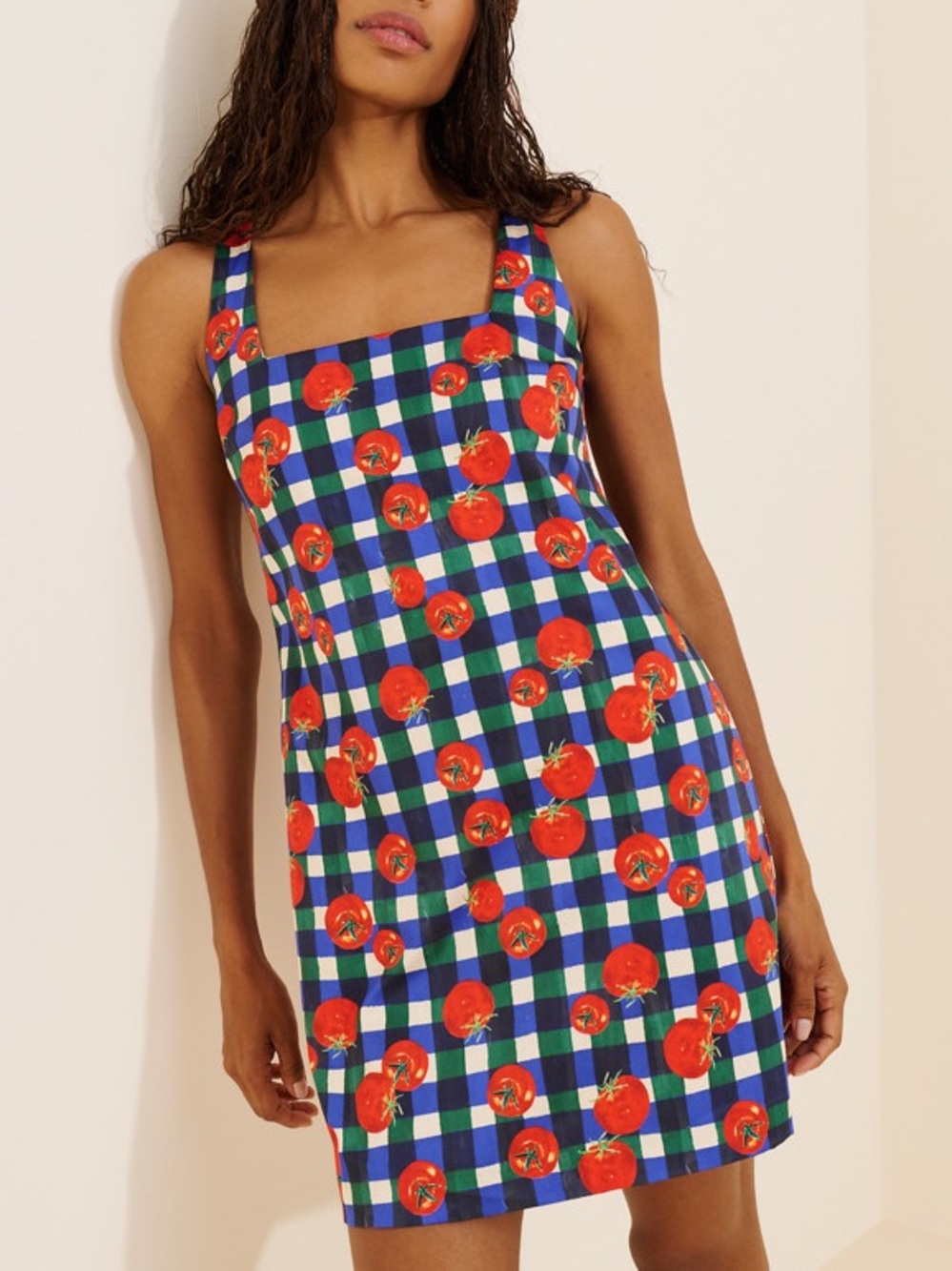Hutch Sara Tomato Gingham Plaid Shift Mini Dress Pockets Size S